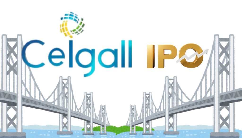 Ceigall India IPO - Review Detailed Analysis