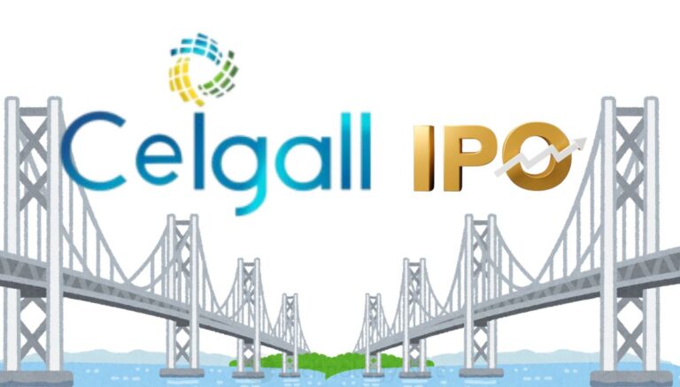 Ceigall India IPO - Review Detailed Analysis